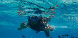 immersioni subacquee