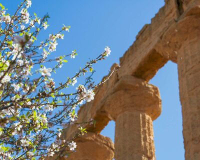 Viaggio in Sicilia tra cultura, natura e divertimento
