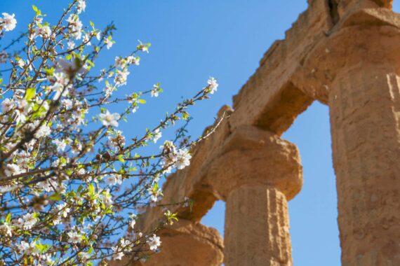 Viaggio in Sicilia tra cultura, natura e divertimento